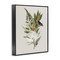 Stupell Industries Flower Sprigs & Butterfly Framed Giclee Design by House Fenway